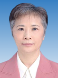 市政协副主席-何婧